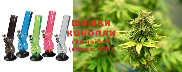 mdpv Вяземский