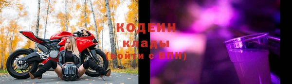 2c-b Горно-Алтайск
