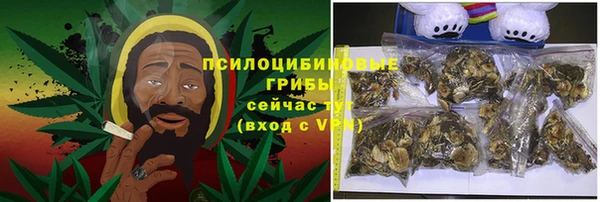 ешки Горнозаводск