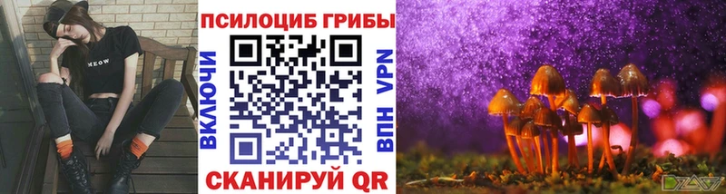 Псилоцибиновые грибы Cubensis Северодвинск