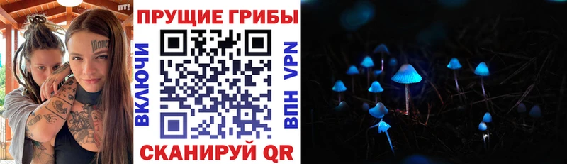 Галлюциногенные грибы ЛСД Северодвинск